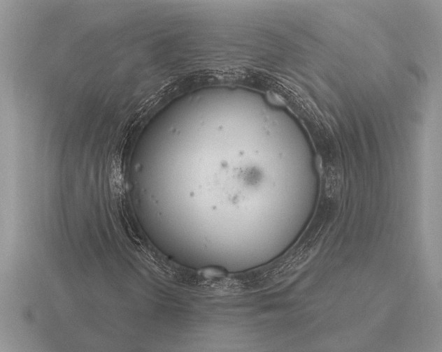 X0000116261298200912141259