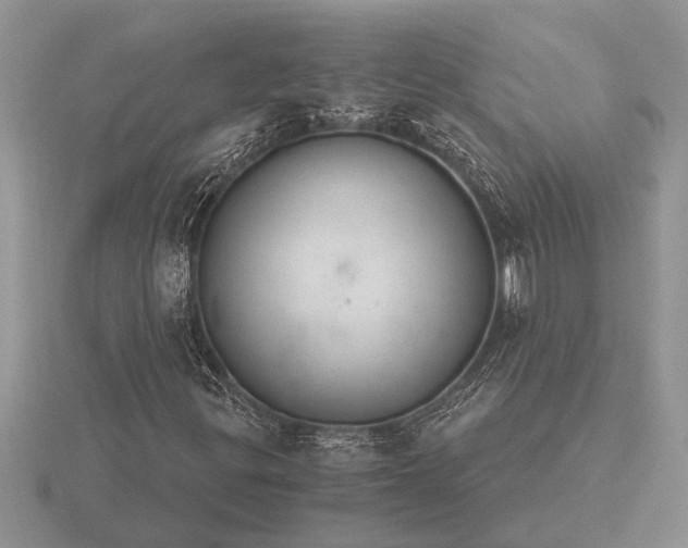 X0000116261299200912141259
