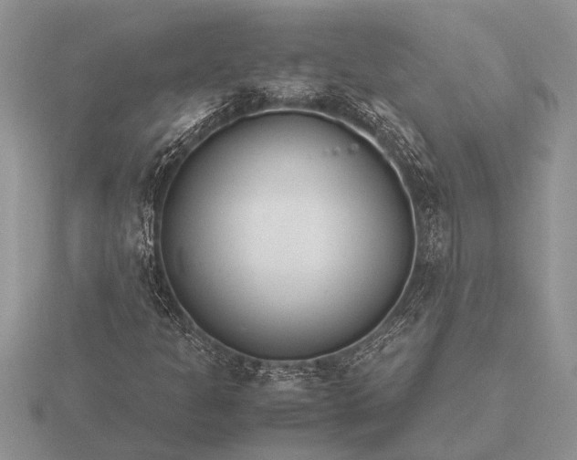 X0000116261301200912141259