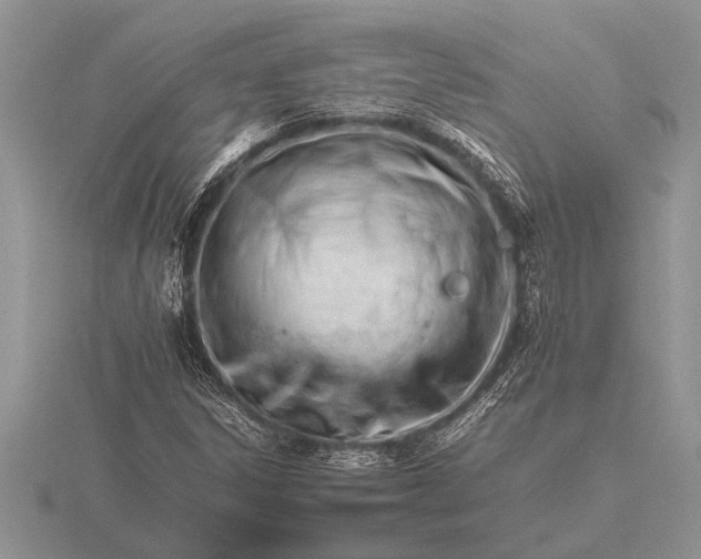 X0000116261306200912141259