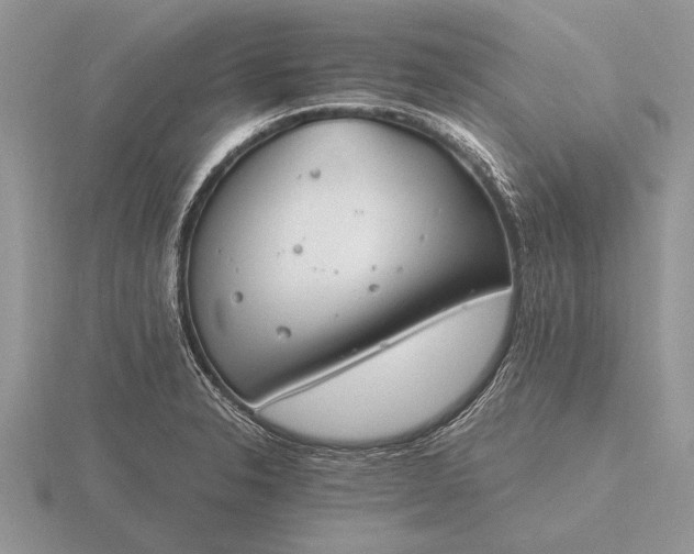 X0000116261326200912141300