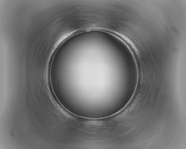 X0000116261333200912141300