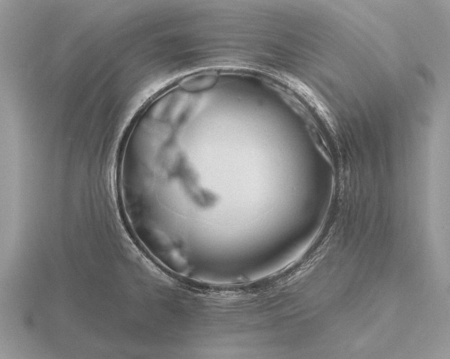 X0000116261334200912141300