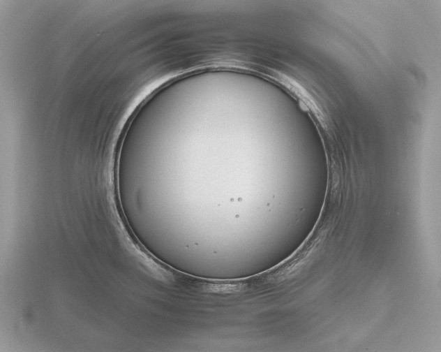 X0000116261339200912141300