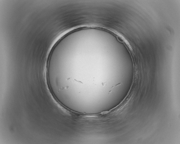 X0000116261343200912141300