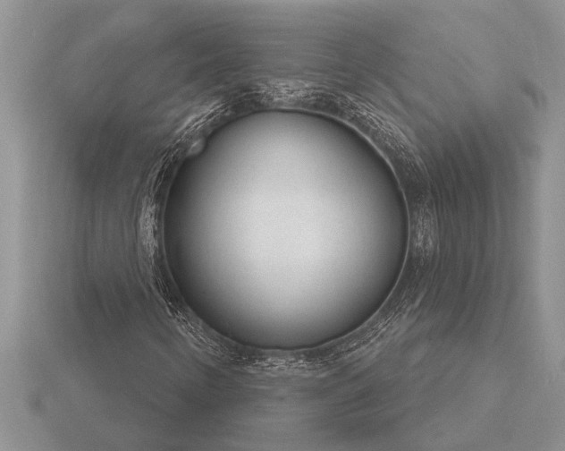 X0000116261346200912141259