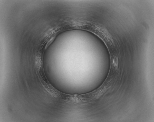X0000116261348200912141259