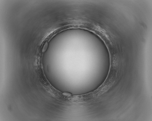 X0000116261352200912141259