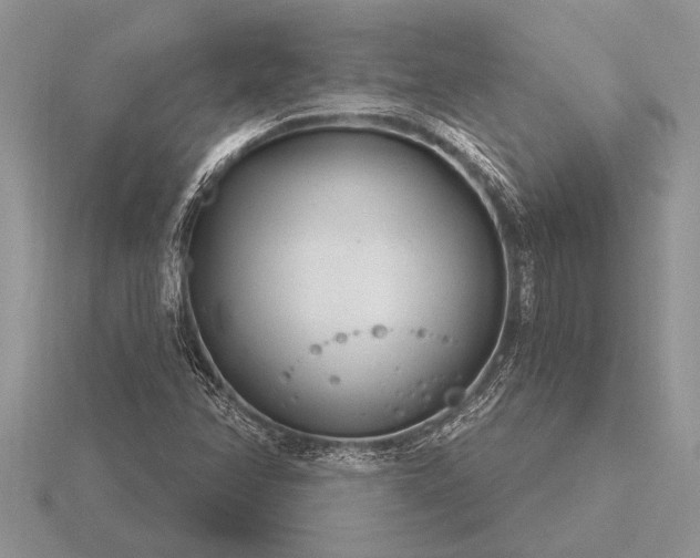 X0000116261358200912141259