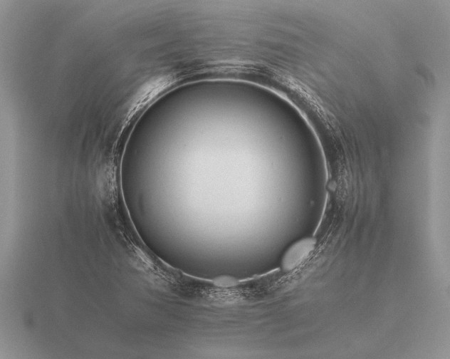 X0000116261362200912141259