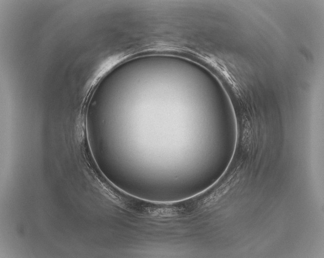 X0000116261367200912141259