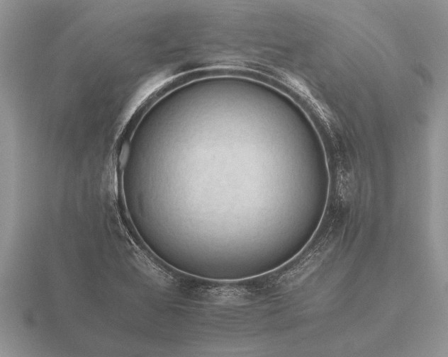 X0000116261368200912141259