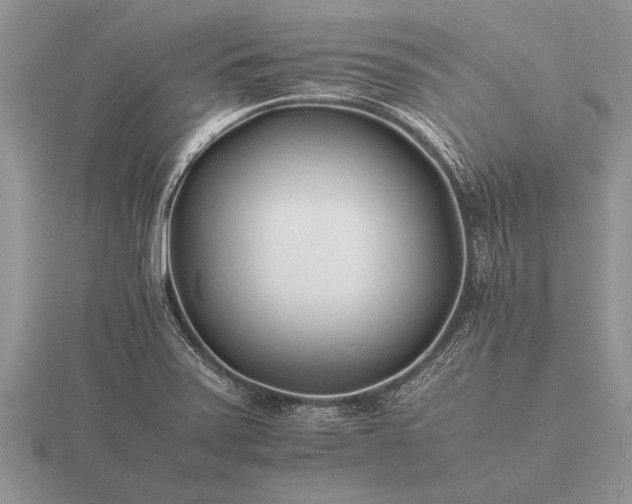 X0000116261371200912141259