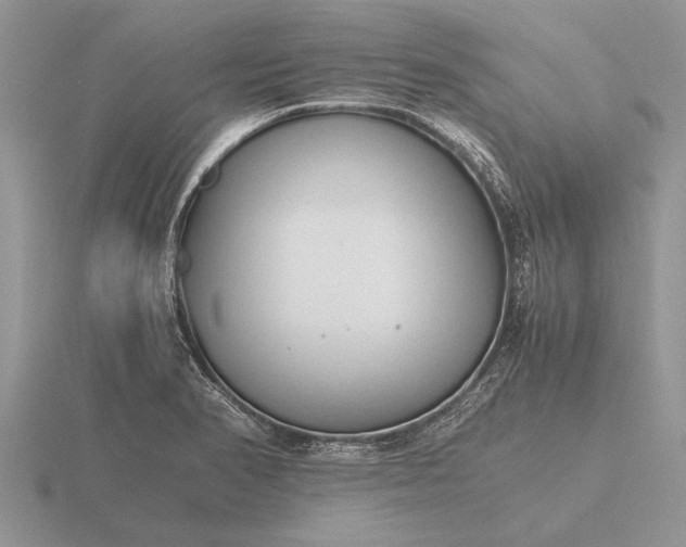 X0000116261374200912141259