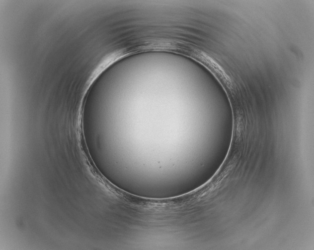 X0000116261378200912141259