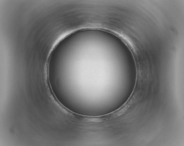 X0000116261382200912141259