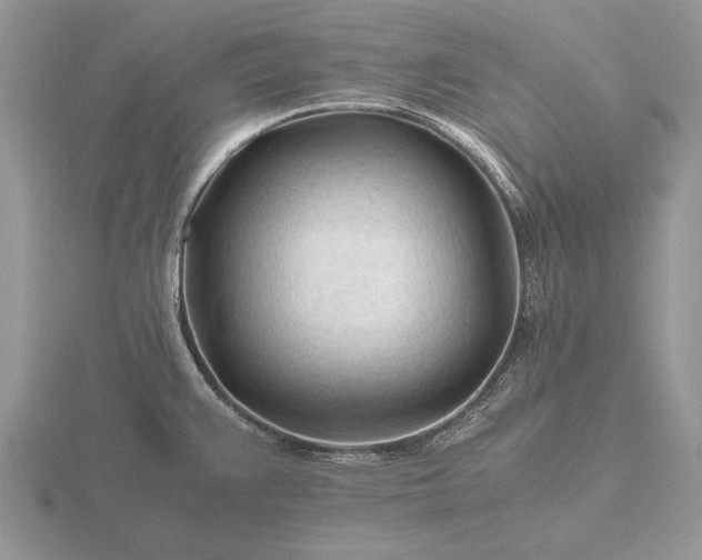 X0000116261383200912141259