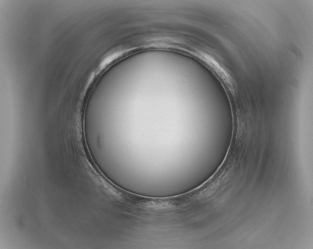 X0000116261384200912141259