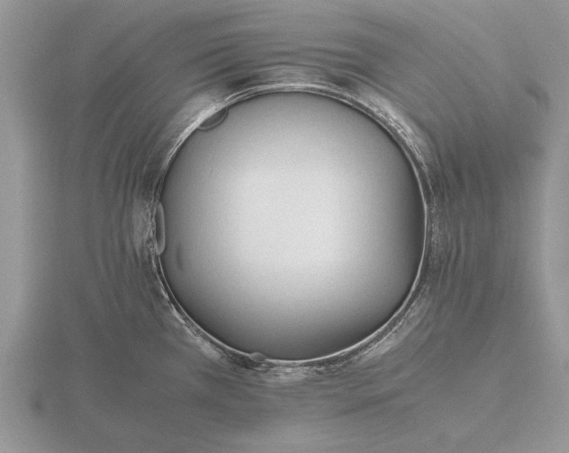 X0000116261385200912141259