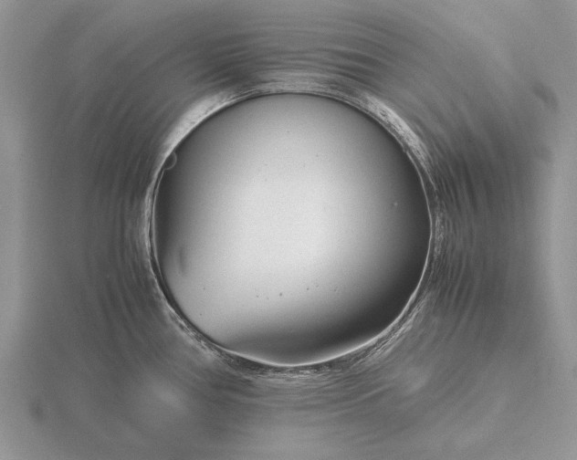 X0000116261386200912141259