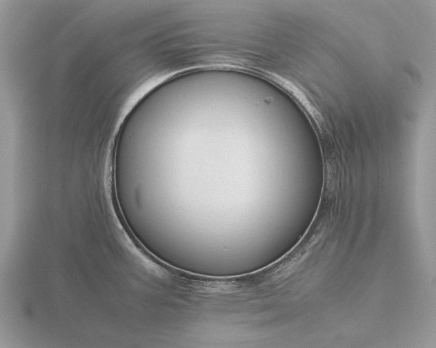 X0000116261387200912141259