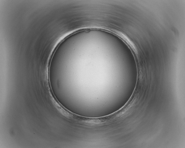X0000116261388200912141259
