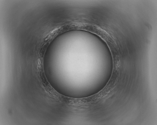X0000116261397200912141258