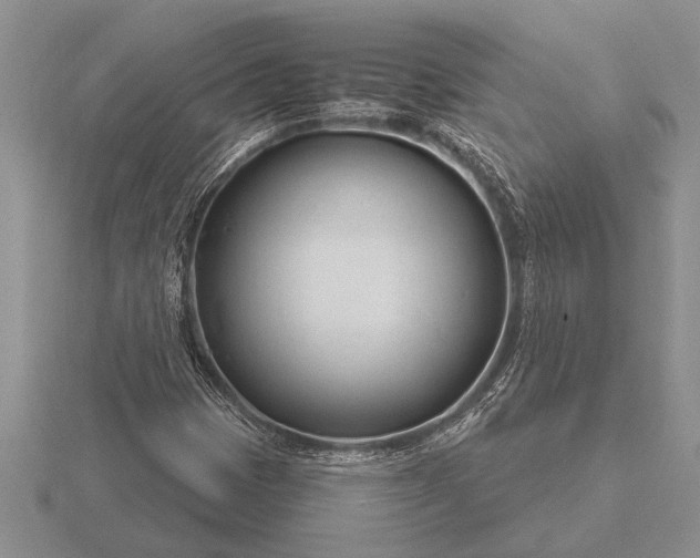 X0000116261401200912141258