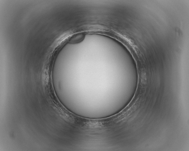 X0000116261407200912141258