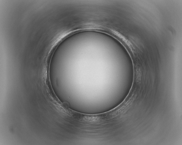 X0000116261415200912141258