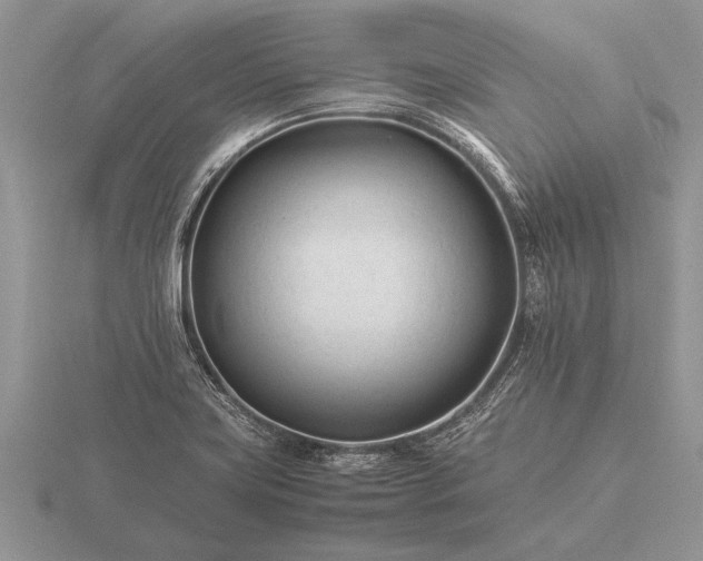 X0000116261419200912141258