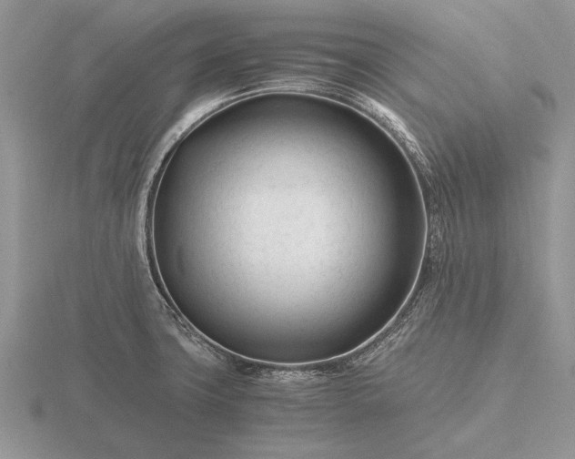 X0000116261427200912141258