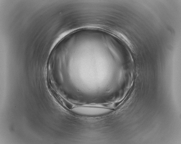 X0000116261428200912141258