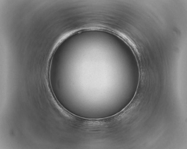 X0000116261429200912141258