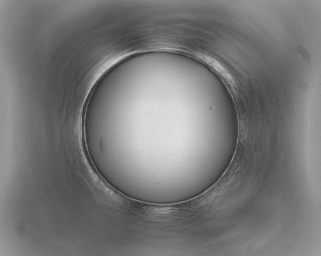 X0000116261431200912141258