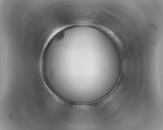 X0000116261432200912141258