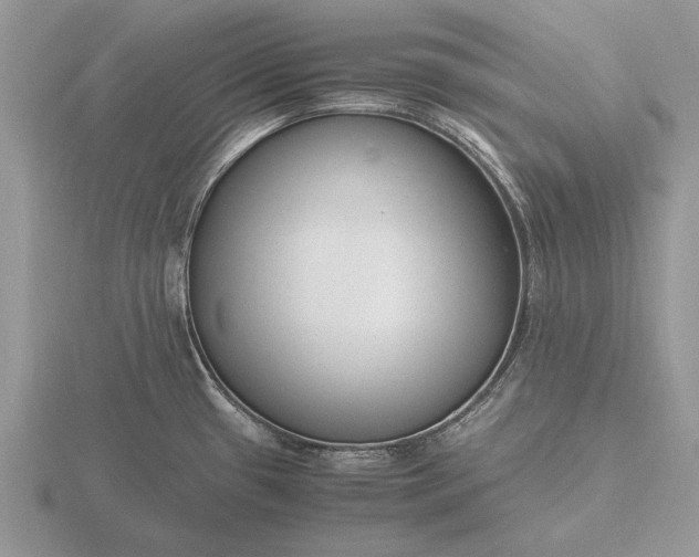 X0000116261433200912141258