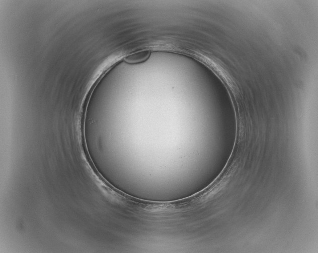 X0000116261434200912141258