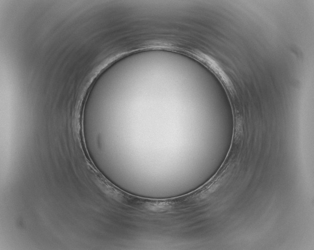 X0000116261435200912141258