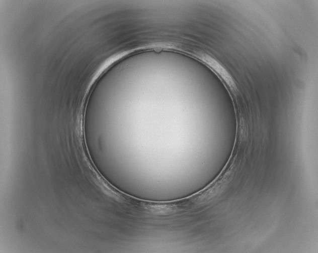 X0000116261436200912141259