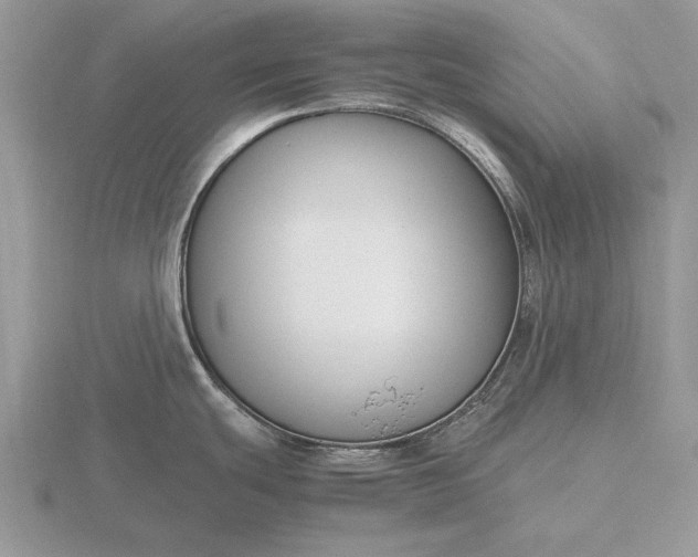 X0000116261439200912141259