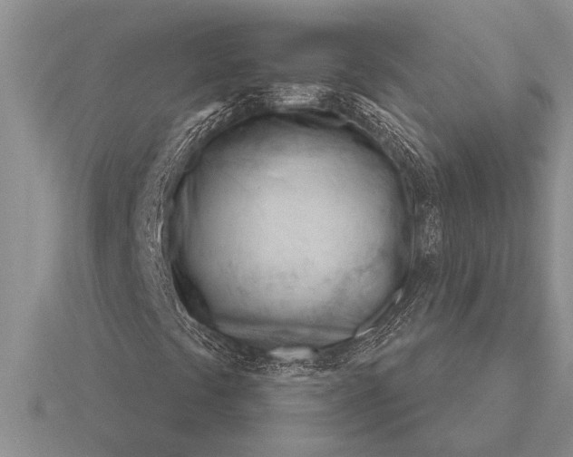 X0000116261441200912141258