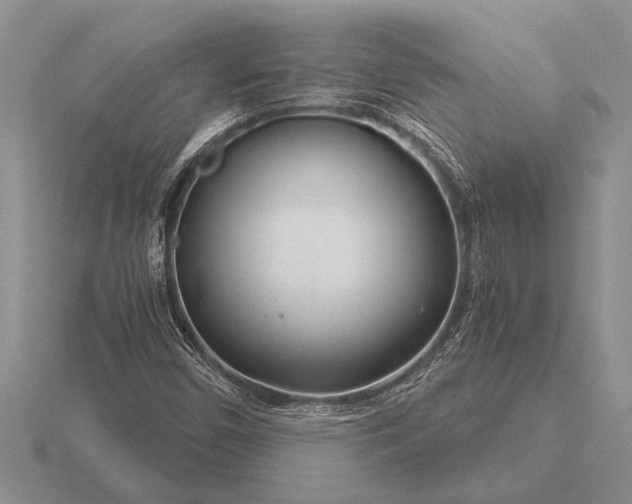 X0000116261450200912141258