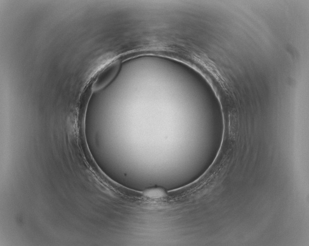 X0000116261452200912141258
