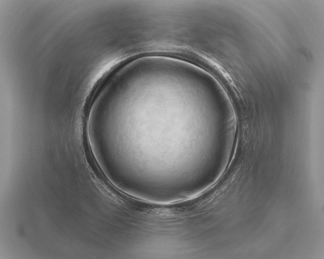 X0000116261463200912141258