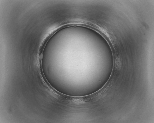 X0000116261464200912141258