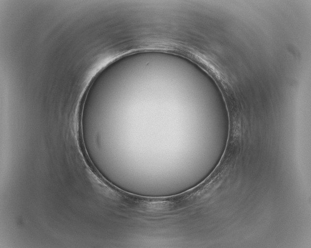 X0000116261471200912141258