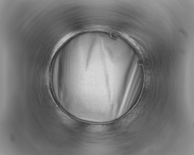 X0000116261474200912141258