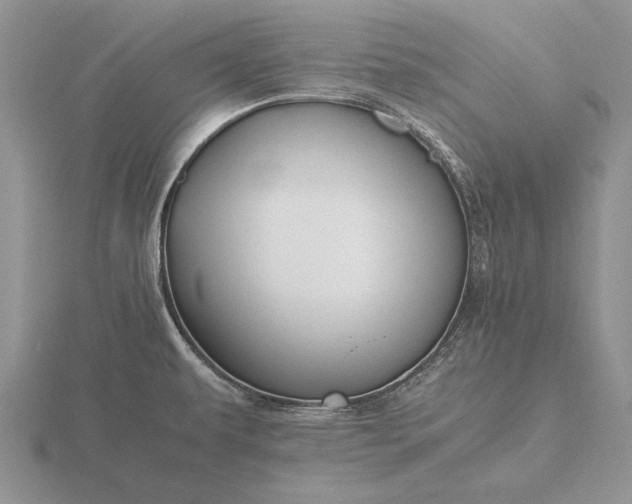 X0000116261479200912141257