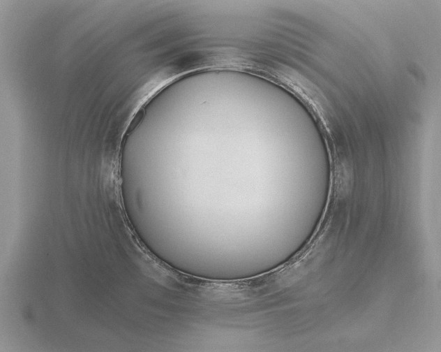 X0000116261481200912141257